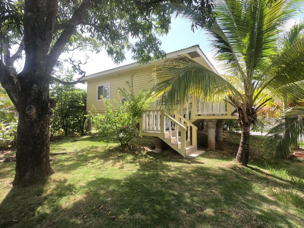 Single-Family Home With Gated Tropical Yard West End Exterior photo